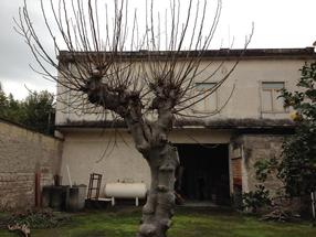 Fabbricato da ristrutturare in Piazza Falcone in Vendita