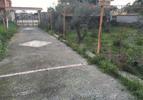  id.5065745