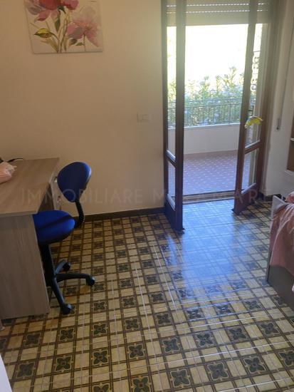  id.5063905