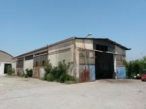 Capannone industriale in Affitto / vendita