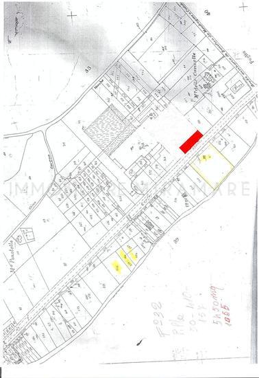  id.4846331