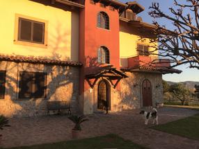 Splendido agriturismo nel Comune di Cellole in Affitto / vendita