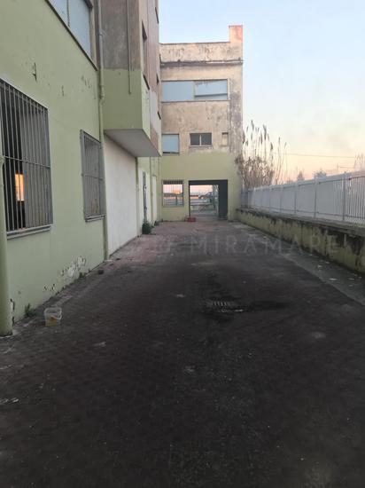  id.5068753
