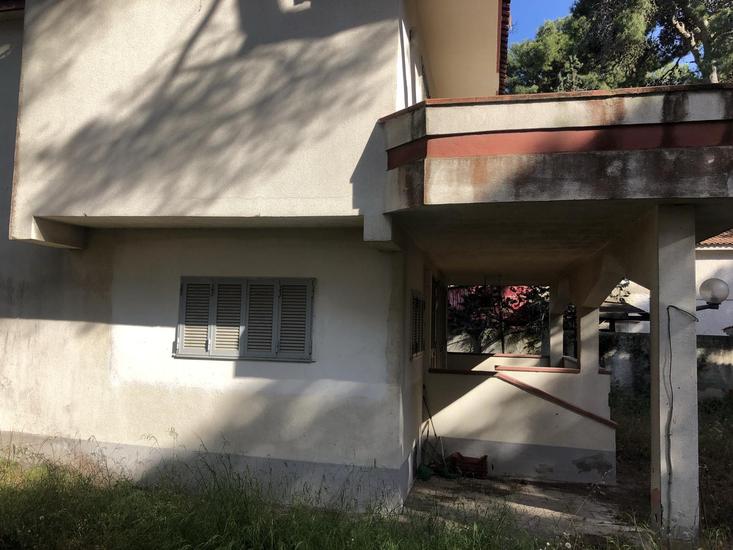  id.5016517