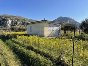 Terreno agricolo a fronte strada Incaldana in Vendita