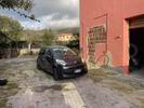  id.5065451