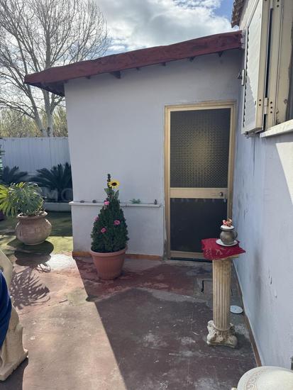  id.5067122