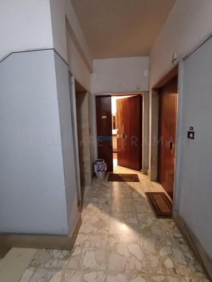  id.5067154
