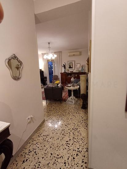  id.5067155