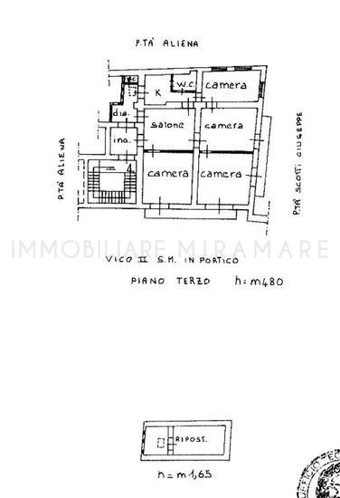  id.5067189