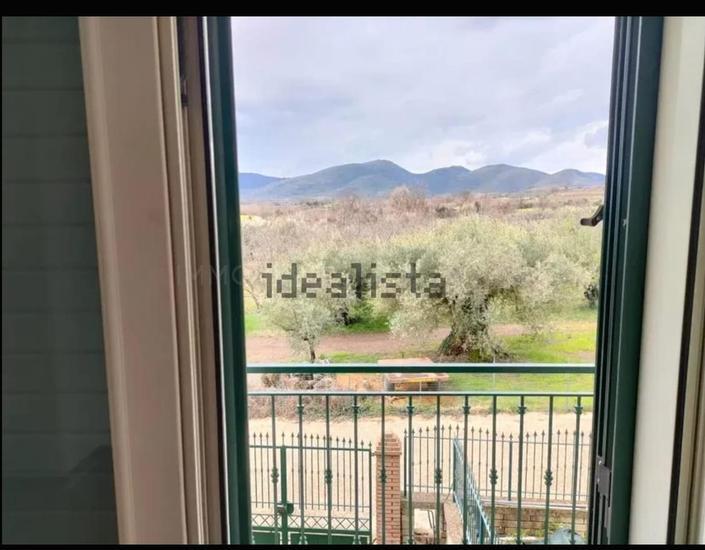  id.5067382