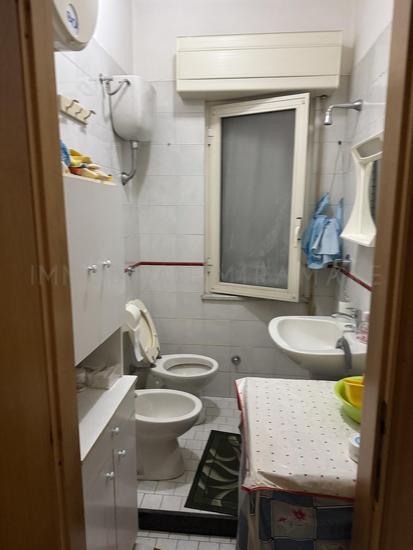  id.5067388