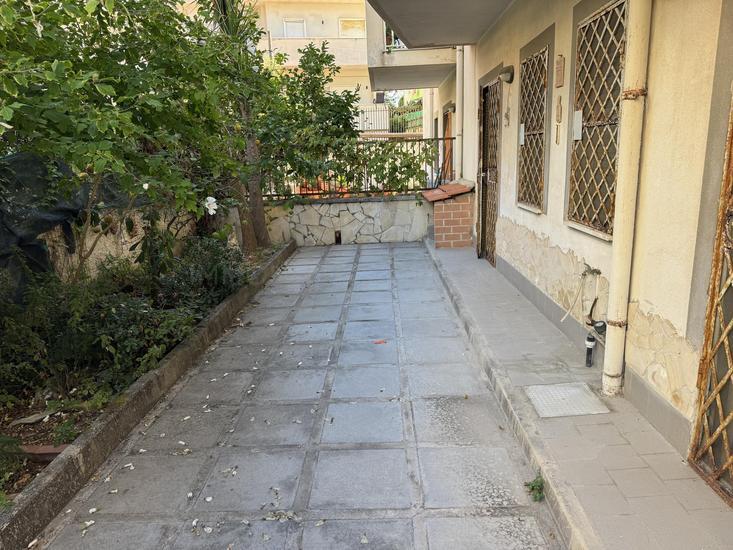  id.5067397