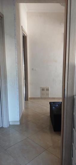  id.5068437