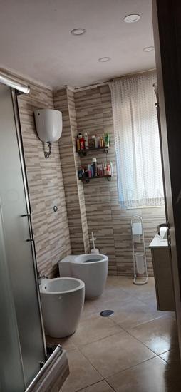  id.5068432