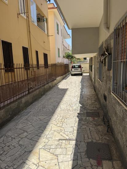  id.5068572