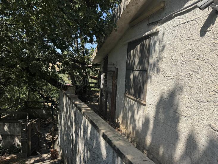  id.5068671
