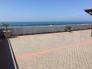  id.5068851